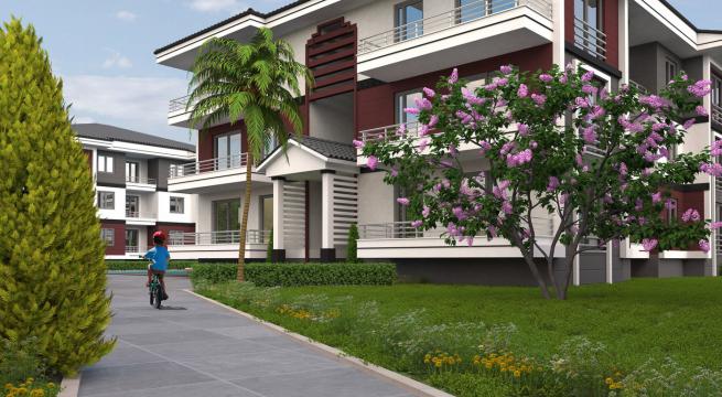 ortakfikir yazilim web 3d grafik animasyon 490